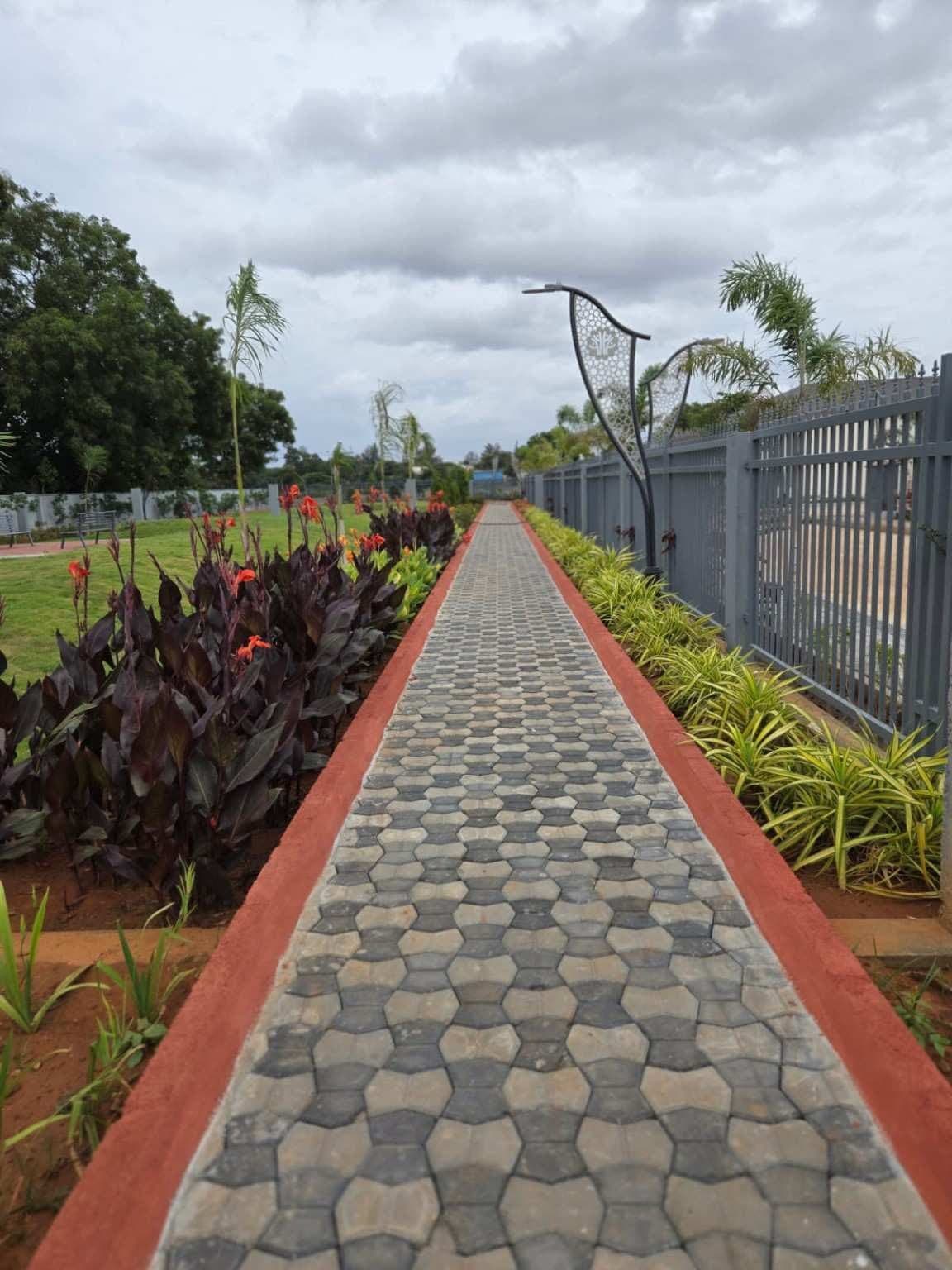 Image 13